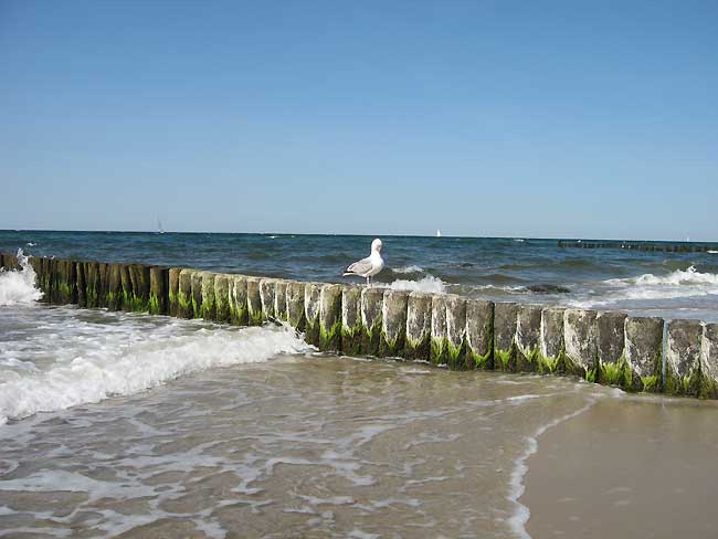 Buhne an der Ostsee