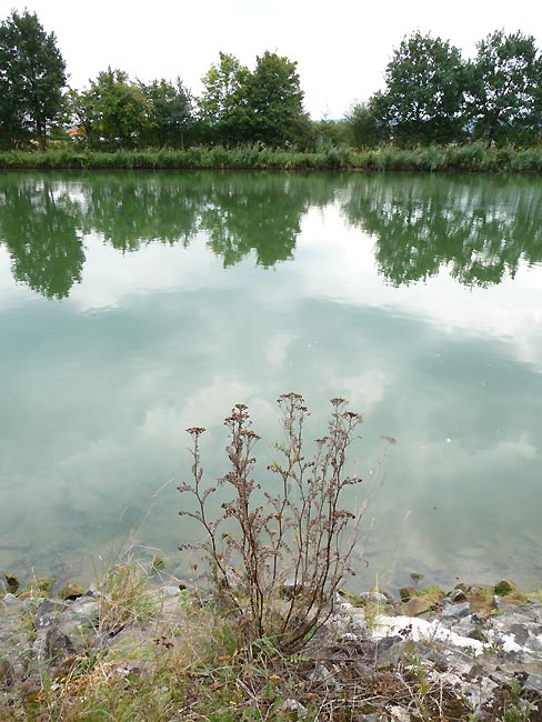 am Mittellandkanal