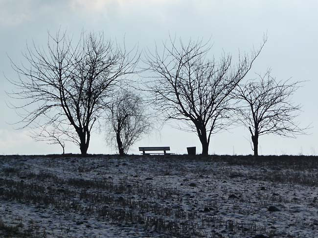 Hang am Wiehengebirge in Bad Holzhausen (Pr. Oldendorf)