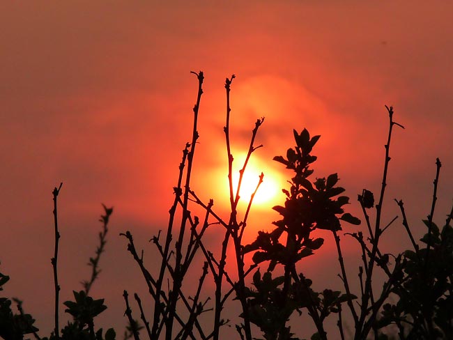 Sonnenuntergang im April