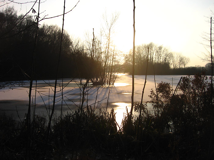 Winternachmittag am Auesee